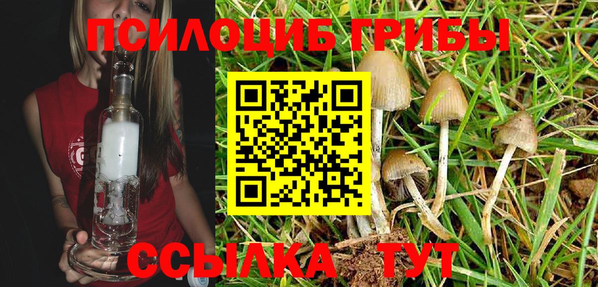 Псилоцибиновые грибы Magic Shrooms  Вход с VPN  Новочебоксарск 